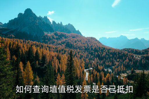如何查詢已抵扣發(fā)票嗎，怎么查詢開出的發(fā)票有沒有被抵扣