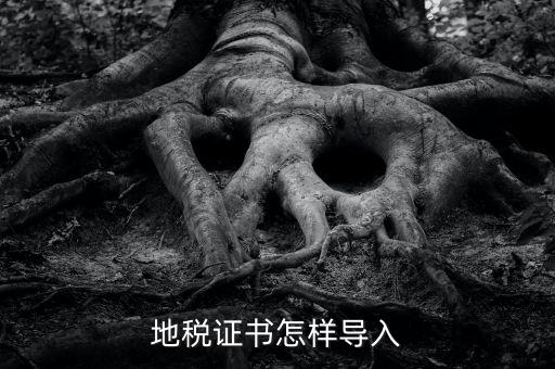 如何導(dǎo)入地稅證書，地稅證書怎樣導(dǎo)入