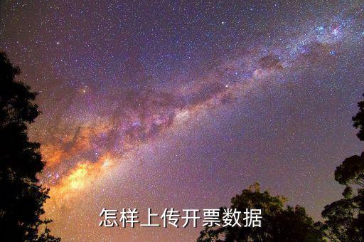 如何上傳進項發(fā)票明細，怎樣上傳開票數(shù)據(jù)