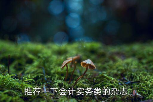 納稅這個期刊如何，推薦一下會計實務(wù)類的雜志