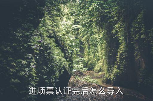 抵扣票如何認(rèn)證系統(tǒng)下載，增值稅發(fā)票怎樣自己認(rèn)證需要下載什么軟件什么步驟呢