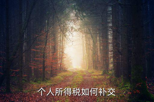 個(gè)稅如何補(bǔ)繳，個(gè)人所得稅如何補(bǔ)交