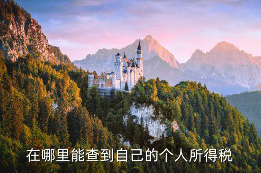 如何查看自己交稅，怎么查自己交了多少稅