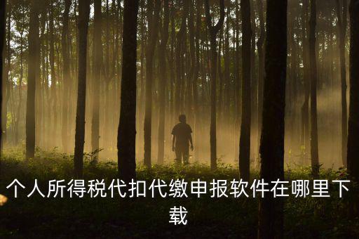 代扣代繳國稅如何申報(bào)系統(tǒng)下載，國稅增值稅小規(guī)模稅務(wù)電子申報(bào)軟件在哪里下載呢