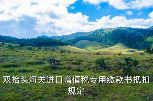 海關(guān)雙抬頭發(fā)票如何抵扣，海關(guān)增值稅發(fā)票怎么才能抵扣進(jìn)去