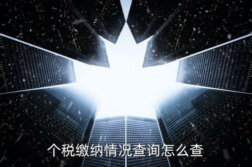 如何查詢個稅申報情況，個稅繳納情況查詢怎么查