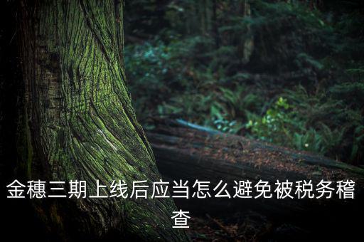 金稅三期如何防稽查，那如何預(yù)防稅局的稽查呢