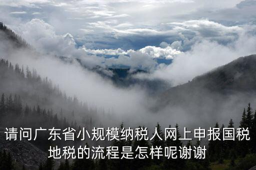 請問廣東省小規(guī)模納稅人網上申報國稅地稅的流程是怎樣呢謝謝