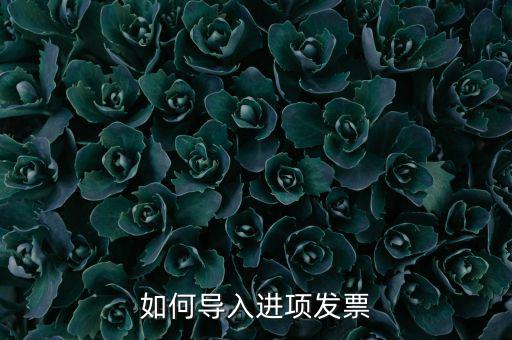如何導(dǎo)入發(fā)票，如何導(dǎo)入進項發(fā)票