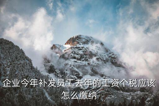 補(bǔ)發(fā)一年工資如何算稅，補(bǔ)發(fā)員工以前年度工資如何繳納個稅