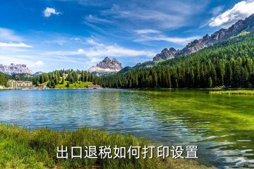 如何打印出口退稅備案表，出口退稅系統(tǒng)內的增值稅申報表如何打印