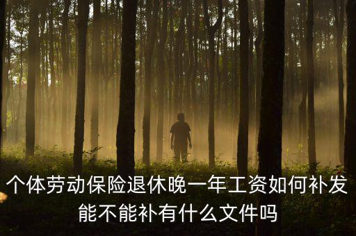 如何補發(fā)工資，個體勞動保險退休晚一年工資如何補發(fā)能不能補有什么文件嗎