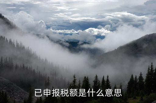 武漢稅務(wù)年報是什么意思，報告年度所得稅什么意思