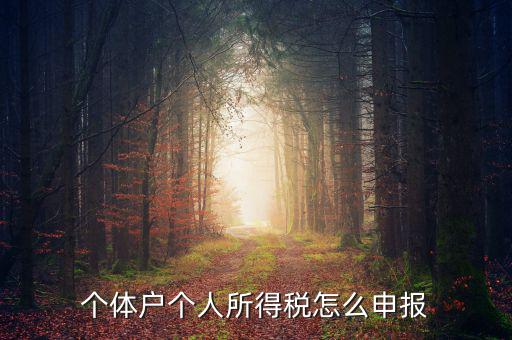 個體戶個人所得稅怎么申報(bào)