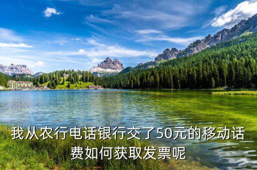 湖北移動電子發(fā)票如何獲取，中國移動手機(jī)帳單電子發(fā)票怎么樣下載
