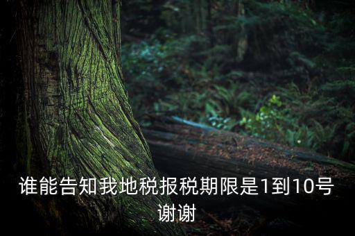 地稅的報(bào)稅期是什么時(shí)候，地稅中的年度財(cái)務(wù)報(bào)表申報(bào)期限是什么時(shí)候