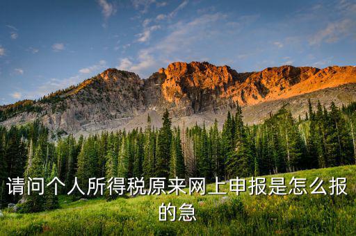 個(gè)人所得稅如何網(wǎng)上申報(bào)，個(gè)人所得稅網(wǎng)上申報(bào)流程