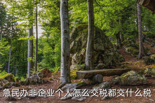 民非企業(yè)如何納稅申報，民辦非企業(yè)單位如何繳納個人所得稅