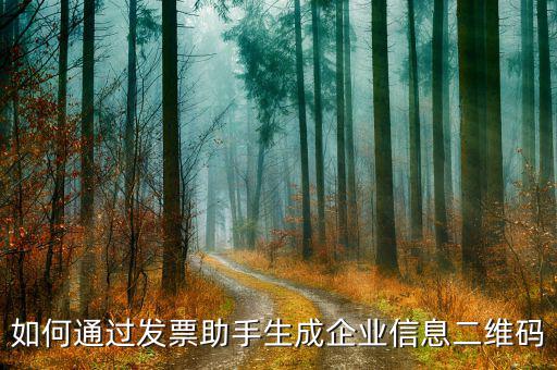 如何生成企業(yè)開票二維碼，如何通過(guò)發(fā)票助手生成企業(yè)信息二維碼