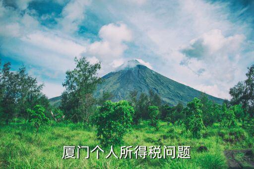 廈門企業(yè)個稅如何申報，廈門個人所得稅問題