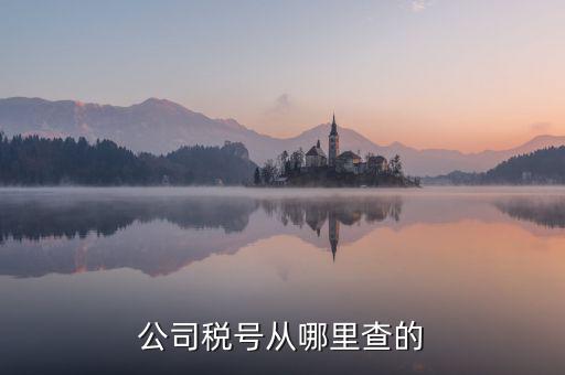 如何查到企業(yè)納稅號，公司稅號從哪里查的