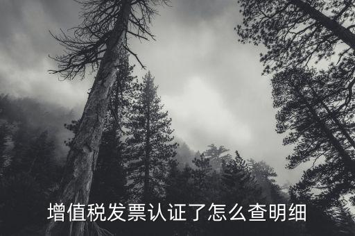 增值稅發(fā)票認證了怎么查明細
