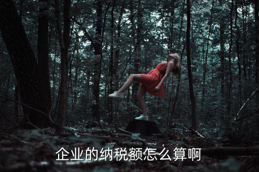 企業(yè)納稅如何計(jì)算，企業(yè)的納稅額怎么算啊
