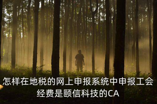 工會經(jīng)費如何網(wǎng)上申報，怎樣在地稅的網(wǎng)上申報系統(tǒng)中申報工會經(jīng)費是頤信科技的CA