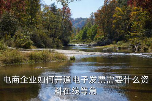 電子發(fā)票如何申領(lǐng)，京東電子發(fā)票如何獲取
