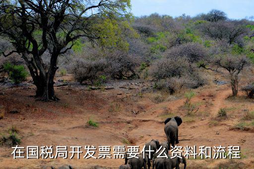 國稅局批票如何辦理，在國稅局開發(fā)票需要什么資料和流程