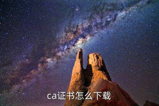 如何下載國稅ca證書，ca證書怎么下載