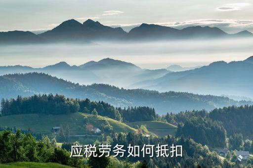 勞務(wù)增值稅如何抵扣，勞務(wù)派遣服務(wù)怎么抵扣增值稅
