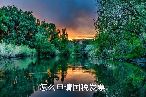 國(guó)稅如何申請(qǐng)發(fā)票，如何去國(guó)稅局開(kāi)發(fā)票