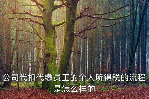 如何代扣代繳個人所得稅，代扣代繳個人所得稅