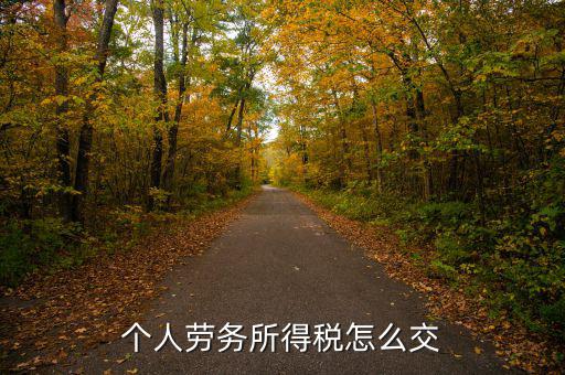 個人勞務費如何繳稅，勞務報酬所得怎么繳納個人所得稅