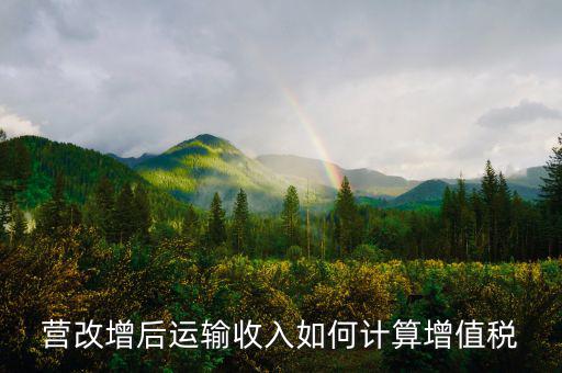 運(yùn)輸業(yè)增值稅如何計(jì)算，道路運(yùn)輸業(yè)的一般納稅人增值稅如何計(jì)算