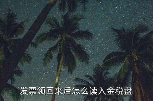 稅稅通申領(lǐng)的發(fā)票如何讀入，電子發(fā)票申領(lǐng)成功后怎么讀入