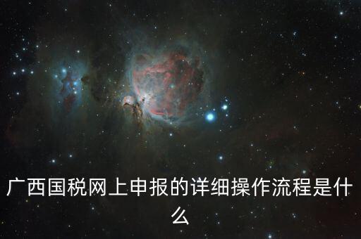 廣西國(guó)稅地稅如何網(wǎng)上申報(bào)系統(tǒng)，國(guó)稅網(wǎng)上怎么申報(bào)