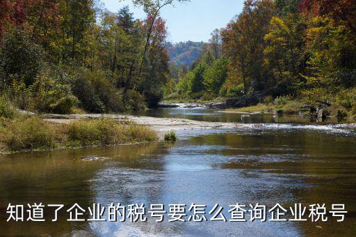 國際企業(yè)稅號如何查詢系統(tǒng)，美國客戶的稅號怎么網(wǎng)上查嗎