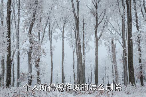如何刪除已審核的地稅報表，已遞上的地稅網(wǎng)上財務(wù)報表系統(tǒng)的報表能否刪除