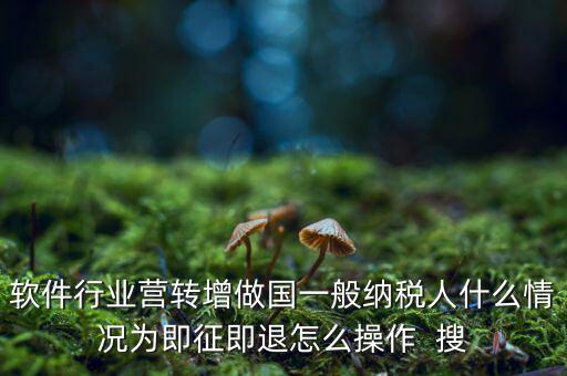 即征即退政策如何辦理，軟件行業(yè)營(yíng)轉(zhuǎn)增做國(guó)一般納稅人什么情況為即征即退怎么操作  搜