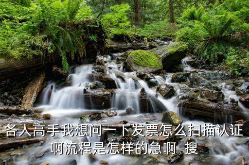 如何使用掃描儀認(rèn)證發(fā)票嗎，各人高手我想問(wèn)一下發(fā)票怎么掃描認(rèn)證啊流程是怎樣的急啊  搜