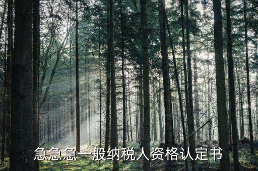 一般納稅人如何認(rèn)定書(shū)，急急急一般納稅人資格認(rèn)定書(shū)