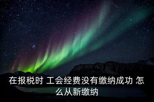 如何補(bǔ)繳工會(huì)經(jīng)費(fèi)，在報(bào)稅時(shí) 工會(huì)經(jīng)費(fèi)沒有繳納成功 怎么從新繳納