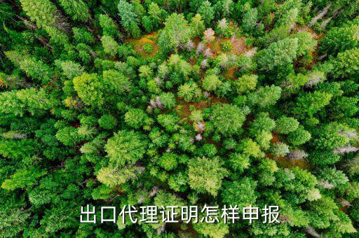 代理出口貨物證明如何報(bào)稅，出口代理證明怎樣申報(bào)