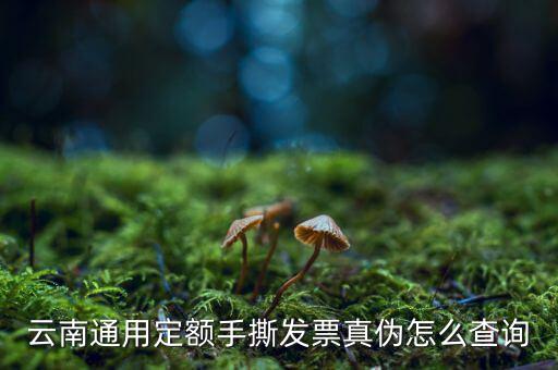 云南定額發(fā)票如何查詢系統(tǒng)，云南通用定額手撕發(fā)票真?zhèn)卧趺床樵?/></a></span><span id=