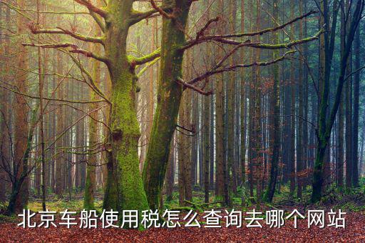 北京車船稅如何查詢系統(tǒng)，北京車船使用稅怎么查詢交沒(méi)交