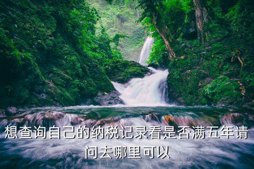 湖南如何查個(gè)人所得稅記錄，請(qǐng)問這樣查個(gè)人所得稅繳費(fèi)記錄