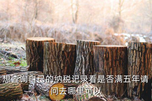 想查詢自己的納稅記錄看是否滿五年請(qǐng)問去哪里可以