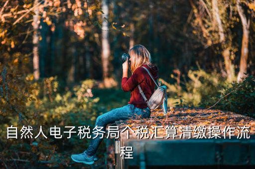 如何使用匯算清繳客戶端，自然人電子稅務(wù)局個(gè)稅匯算清繳操作流程